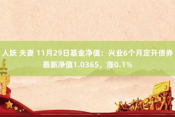 人妖 夫妻 11月29日基金净值：兴业6个月定开债券最新净值1.0365，涨0.1%