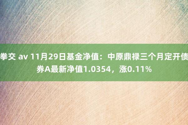 拳交 av 11月29日基金净值：中原鼎禄三个月定开债券A最新净值1.0354，涨0.11%