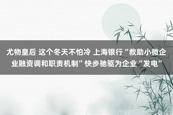 尤物皇后 这个冬天不怕冷 上海银行“救助小微企业融资调和职责机制”快步驰驱为企业“发电”