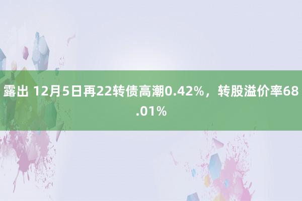 露出 12月5日再22转债高潮0.42%，转股溢价率68.01%