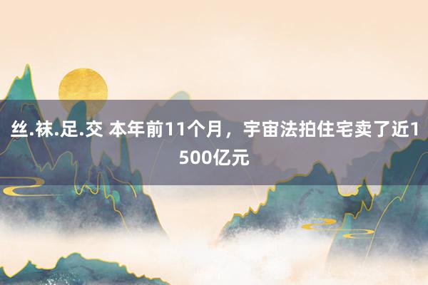 丝.袜.足.交 本年前11个月，宇宙法拍住宅卖了近1500亿元