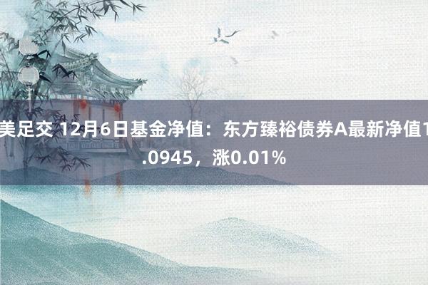 美足交 12月6日基金净值：东方臻裕债券A最新净值1.0945，涨0.01%