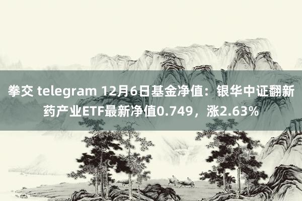 拳交 telegram 12月6日基金净值：银华中证翻新药产业ETF最新净值0.749，涨2.63%