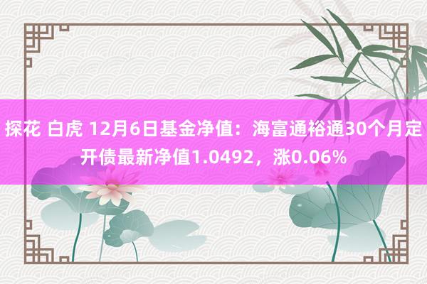 探花 白虎 12月6日基金净值：海富通裕通30个月定开债最新净值1.0492，涨0.06%