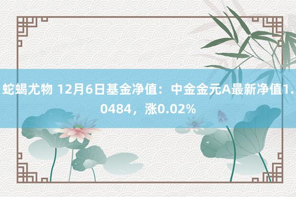 蛇蝎尤物 12月6日基金净值：中金金元A最新净值1.0484，涨0.02%