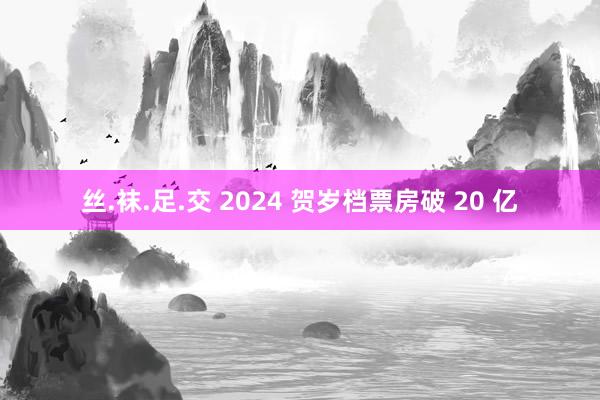 丝.袜.足.交 2024 贺岁档票房破 20 亿