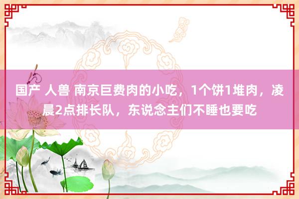 国产 人兽 南京巨费肉的小吃，1个饼1堆肉，凌晨2点排长队，东说念主们不睡也要吃