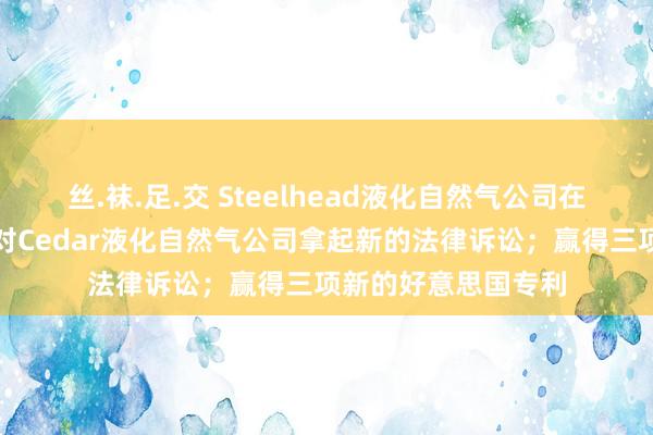 丝.袜.足.交 Steelhead液化自然气公司在不列颠哥伦比亚省对Cedar液化自然气公司拿起新的法律诉讼；赢得三项新的好意思国专利