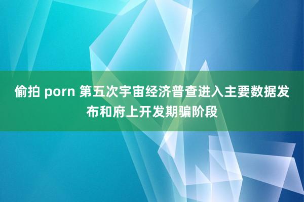 偷拍 porn 第五次宇宙经济普查进入主要数据发布和府上开发期骗阶段