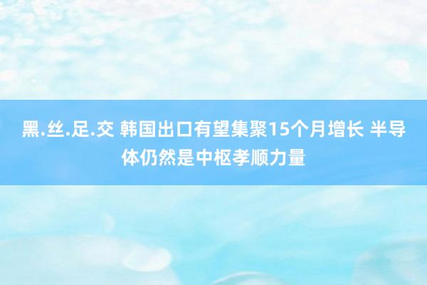 黑.丝.足.交 韩国出口有望集聚15个月增长 半导体仍然是中枢孝顺力量