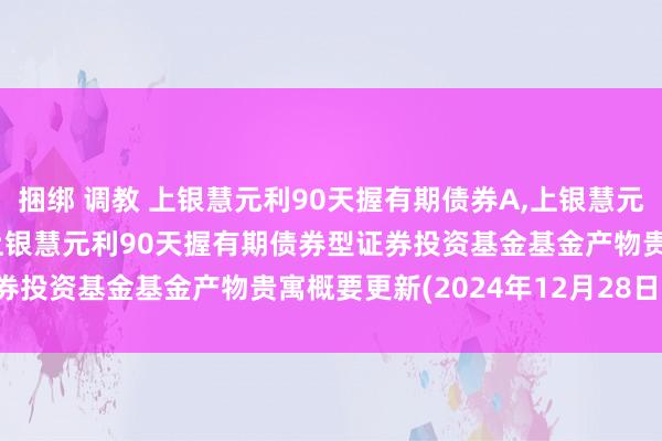 捆绑 调教 上银慧元利90天握有期债券A，上银慧元利90天握有期债券C: 上银慧元利90天握有期债券型证券投资基金基金产物贵寓概要更新(2024年12月28日公告)