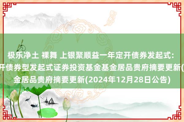 极乐净土 裸舞 上银聚顺益一年定开债券发起式: 上银聚顺益一年按时洞开债券型发起式证券投资基金基金居品贵府摘要更新(2024年12月28日公告)