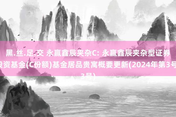 黑.丝.足.交 永赢鑫辰夹杂C: 永赢鑫辰夹杂型证券投资基金(C份额)基金居品贵寓概要更新(2024年第3号)