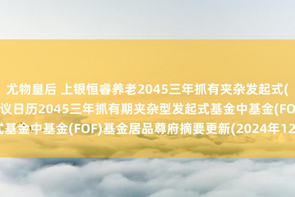 尤物皇后 上银恒睿养老2045三年抓有夹杂发起式(FOF): 上银恒睿养老计议日历2045三年抓有期夹杂型发起式基金中基金(FOF)基金居品尊府摘要更新(2024年12月28日公告)