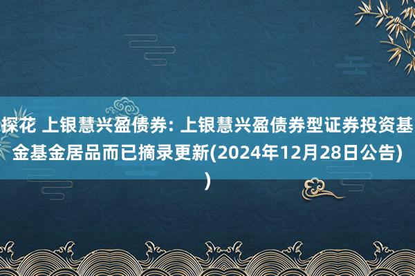 探花 上银慧兴盈债券: 上银慧兴盈债券型证券投资基金基金居品而已摘录更新(2024年12月28日公告)