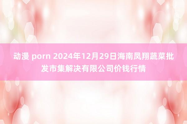 动漫 porn 2024年12月29日海南凤翔蔬菜批发市集解决有限公司价钱行情