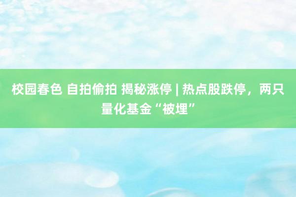 校园春色 自拍偷拍 揭秘涨停 | 热点股跌停，两只量化基金“被埋”