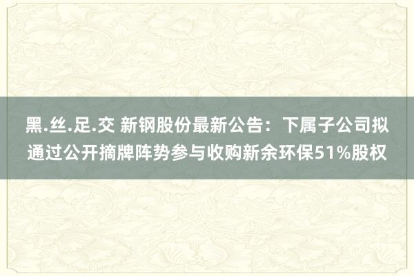 黑.丝.足.交 新钢股份最新公告：下属子公司拟通过公开摘牌阵势参与收购新余环保51%股权