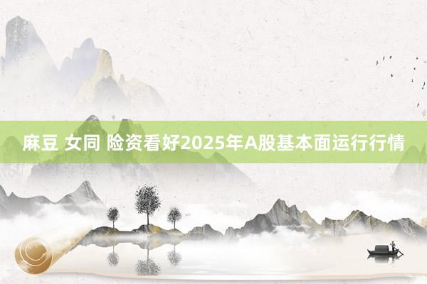 麻豆 女同 险资看好2025年A股基本面运行行情