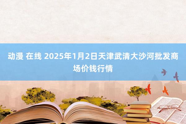 动漫 在线 2025年1月2日天津武清大沙河批发商场价钱行情