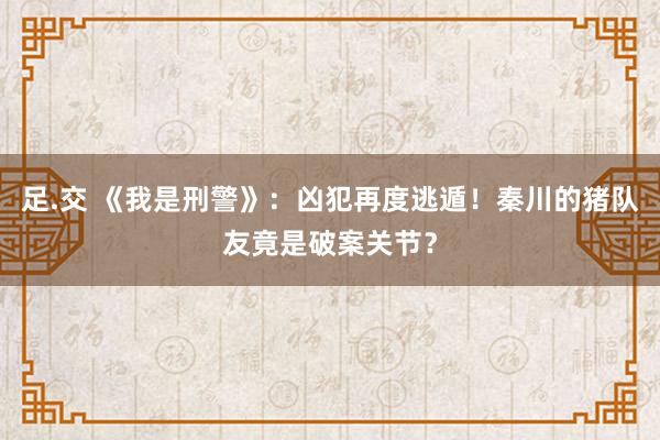 足.交 《我是刑警》：凶犯再度逃遁！秦川的猪队友竟是破案关节？