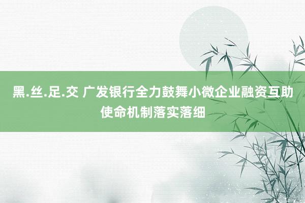 黑.丝.足.交 广发银行全力鼓舞小微企业融资互助使命机制落实落细