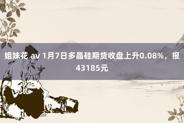 姐妹花 av 1月7日多晶硅期货收盘上升0.08%，报43185元