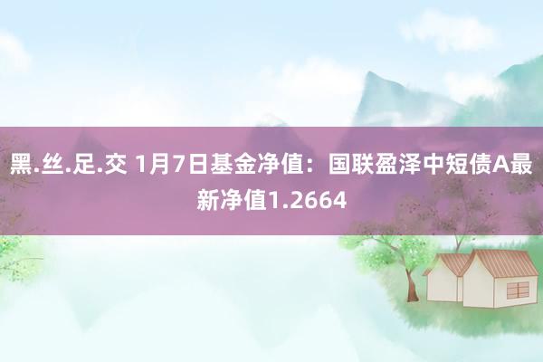 黑.丝.足.交 1月7日基金净值：国联盈泽中短债A最新净值1.2664