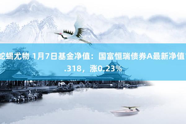 蛇蝎尤物 1月7日基金净值：国富恒瑞债券A最新净值1.318，涨0.23%