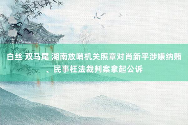 白丝 双马尾 湖南放哨机关照章对肖新平涉嫌纳贿、民事枉法裁判案拿起公诉