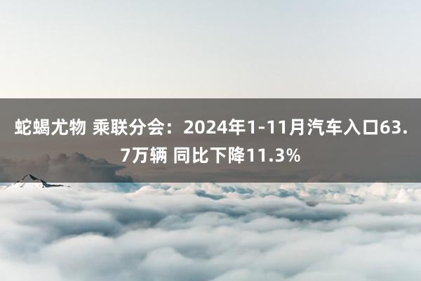 蛇蝎尤物 乘联分会：2024年1-11月汽车入口63.7万辆 同比下降11.3%