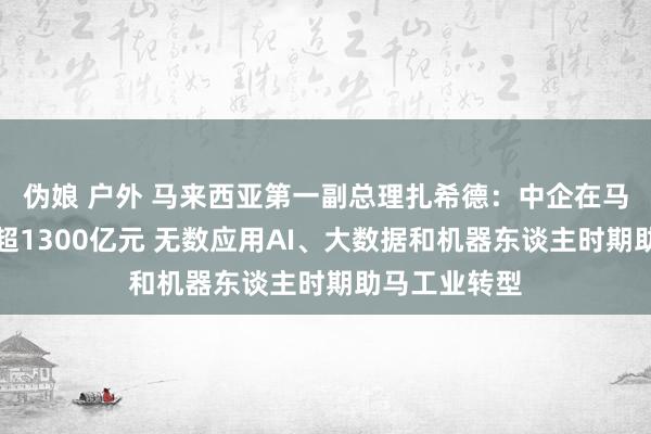 伪娘 户外 马来西亚第一副总理扎希德：中企在马制造业投资超1300亿元 无数应用AI、大数据和机器东谈主时期助马工业转型