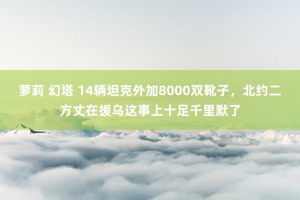 萝莉 幻塔 14辆坦克外加8000双靴子，北约二方丈在援乌这事上十足千里默了