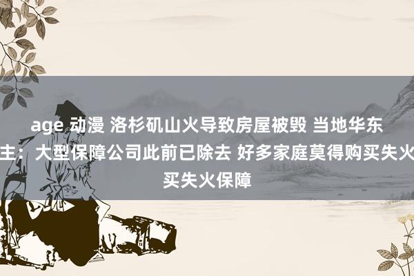 age 动漫 洛杉矶山火导致房屋被毁 当地华东说念主：大型保障公司此前已除去 好多家庭莫得购买失火保障