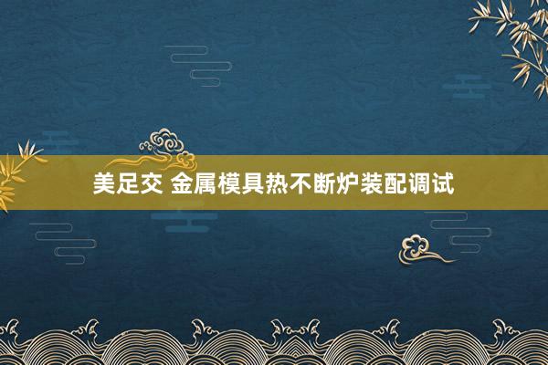 美足交 金属模具热不断炉装配调试