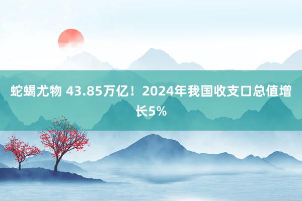 蛇蝎尤物 43.85万亿！2024年我国收支口总值增长5%