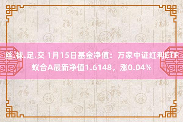 丝.袜.足.交 1月15日基金净值：万家中证红利ETF蚁合A最新净值1.6148，涨0.04%