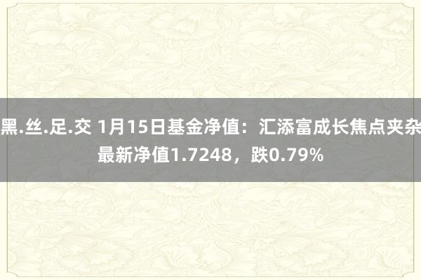 黑.丝.足.交 1月15日基金净值：汇添富成长焦点夹杂最新净值1.7248，跌0.79%