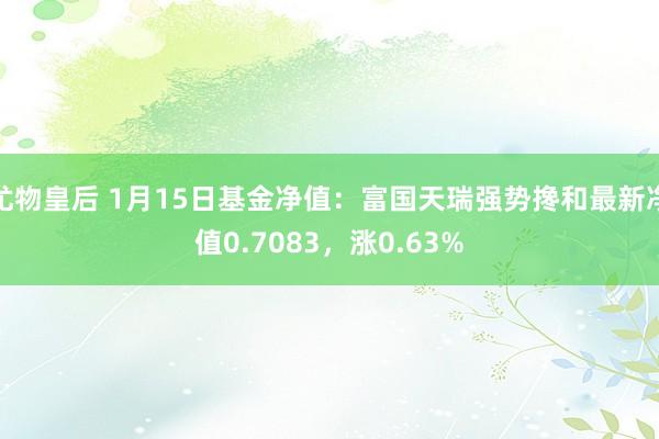 尤物皇后 1月15日基金净值：富国天瑞强势搀和最新净值0.7083，涨0.63%