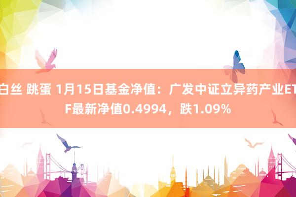 白丝 跳蛋 1月15日基金净值：广发中证立异药产业ETF最新净值0.4994，跌1.09%