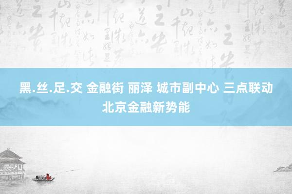 黑.丝.足.交 金融街 丽泽 城市副中心 三点联动北京金融新势能