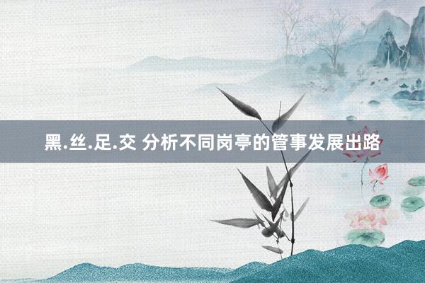 黑.丝.足.交 分析不同岗亭的管事发展出路