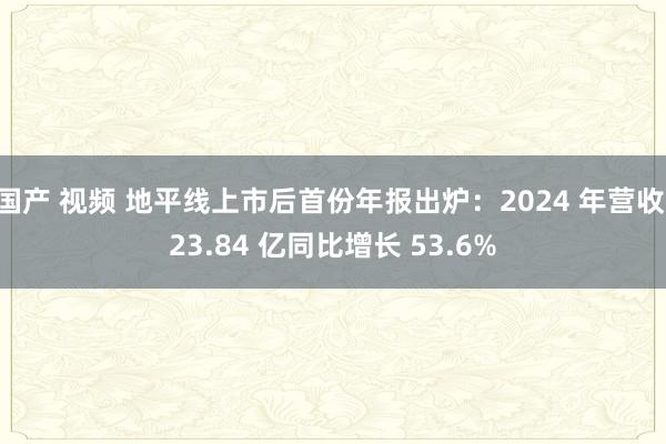 国产 视频 地平线上市后首份年报出炉：2024 年营收 23.84 亿同比增长 53.6%