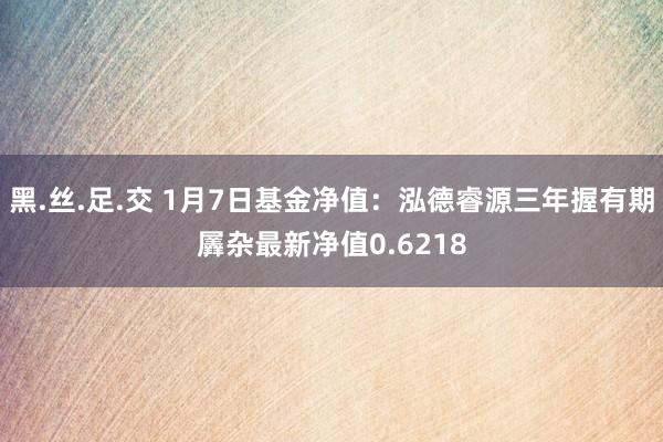 黑.丝.足.交 1月7日基金净值：泓德睿源三年握有期羼杂最新净值0.6218