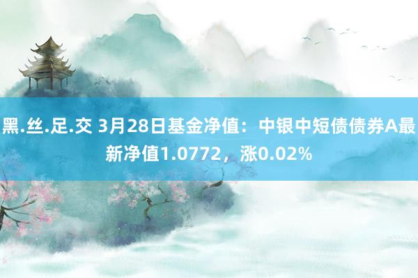 黑.丝.足.交 3月28日基金净值：中银中短债债券A最新净值1.0772，涨0.02%