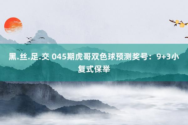 黑.丝.足.交 045期虎哥双色球预测奖号：9+3小复式保举